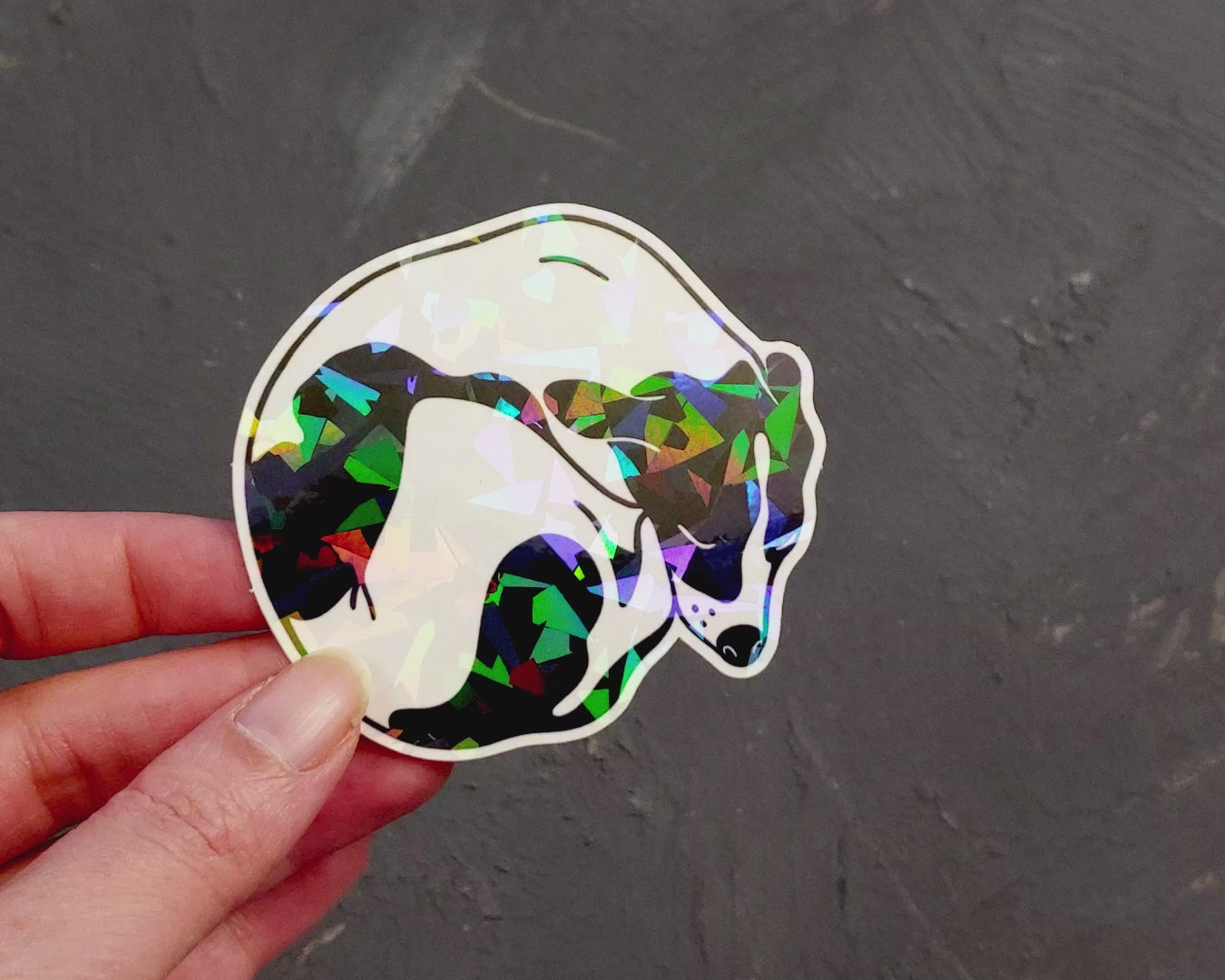 Sleeping dog vinyl waterproof sticker. Laptop sticker, planner sticker, stationary sticker, dog lover gift, dog lover sticker in black and white with a finish of frosty ice. Art by Booba Prints.