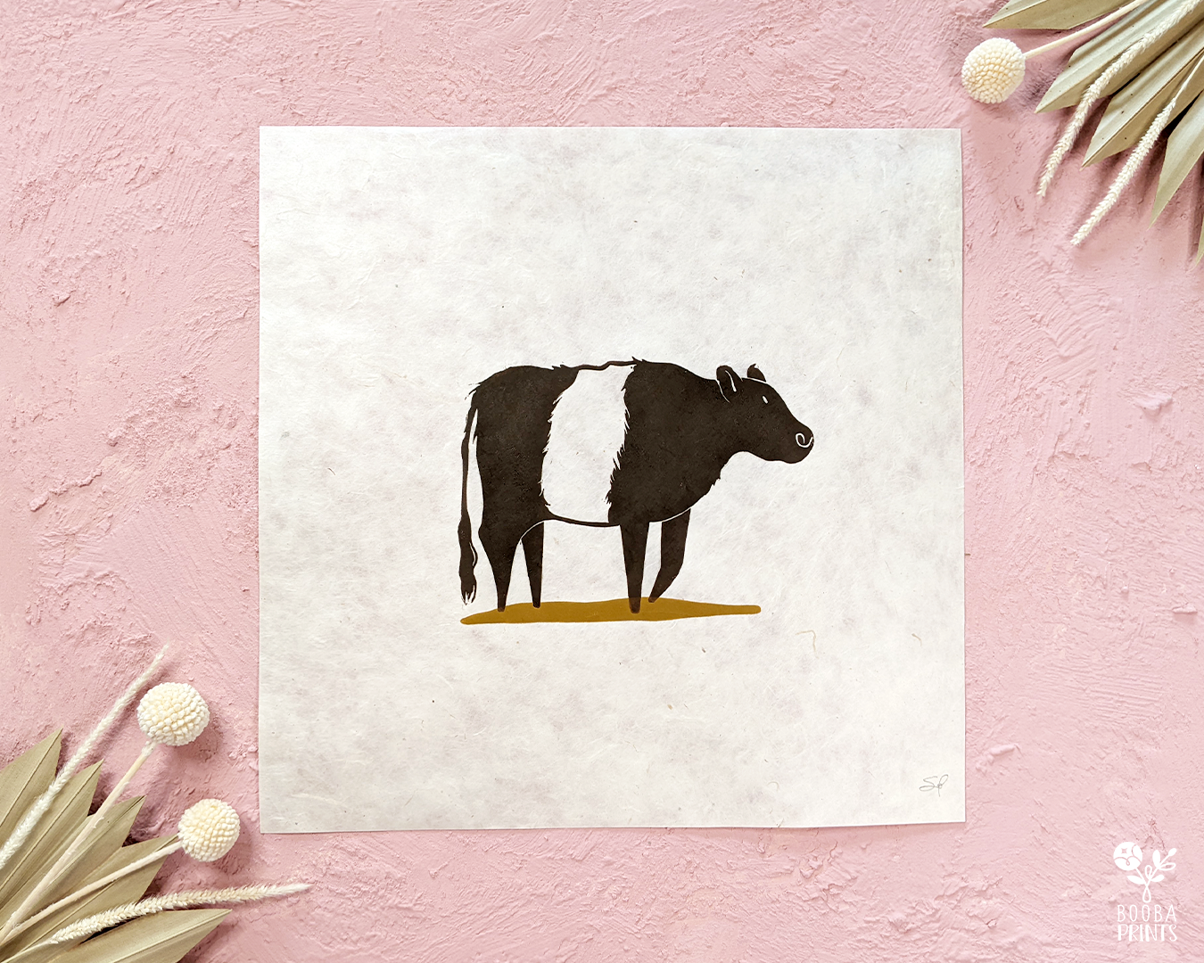 Fluffy Belted Galloway Cow For Home Decor ???? • Art By Booba Prints